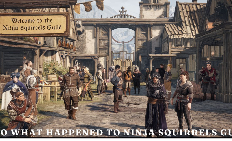 Activities of theeso what happened To Ninja Squirrels Guild Reddit