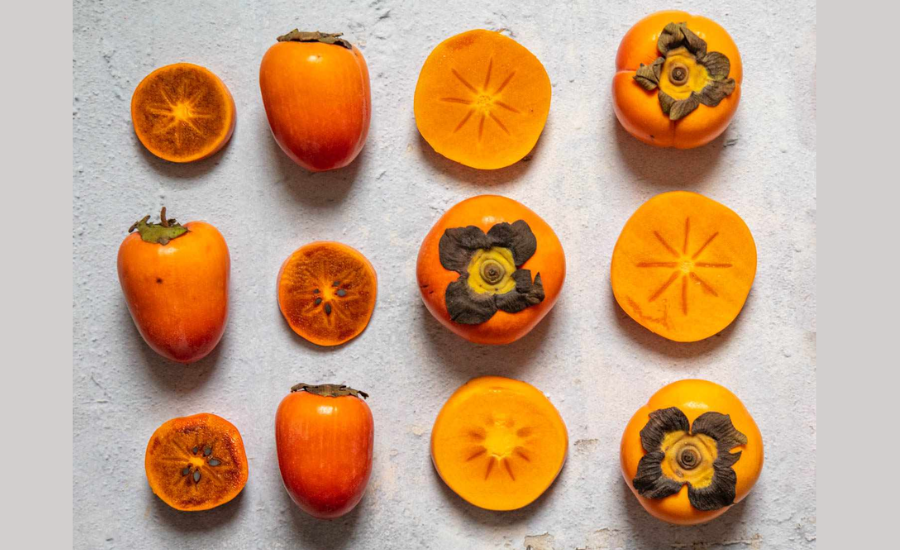 Whopper Persimmon Tree Fruit