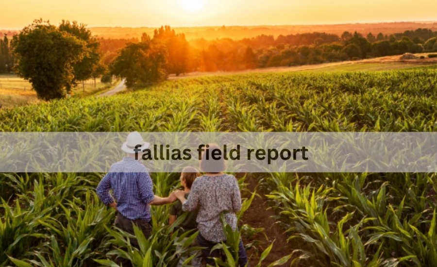 fallias field report++++++++++++